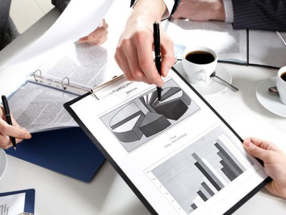 Shamily Business Corporate Services