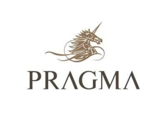 PRAGMA INVESTMENTS MANAGEMENT