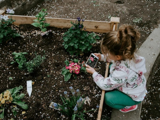 Moher Landscaping And Gardening