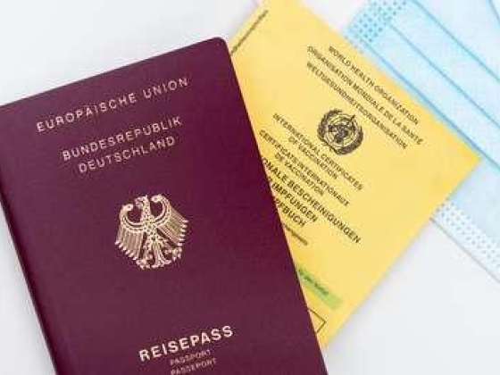 Pioneer Global Visa Services