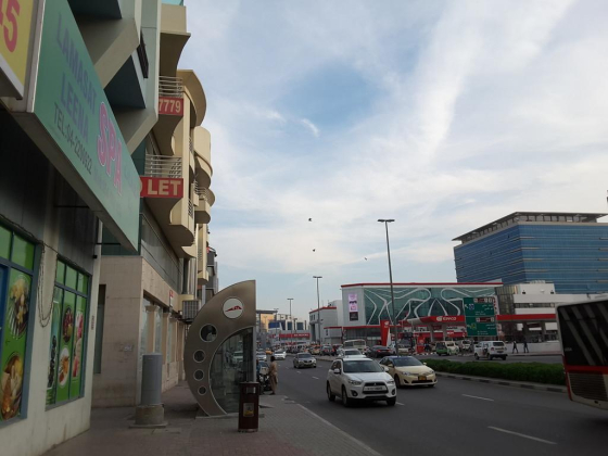 Info Park Software House