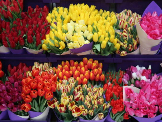 Lamasat Alward Flower Trading