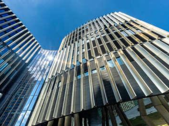 Black Swan Business Center
