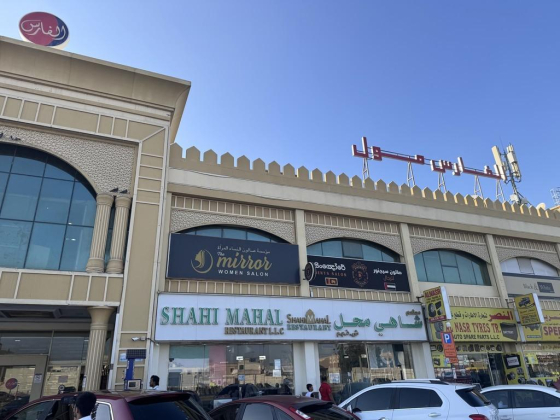 Luxury Sneaker Cleaners