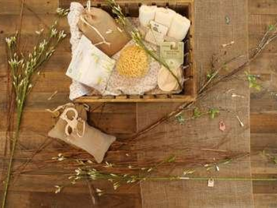 Fengye Ladies Massage