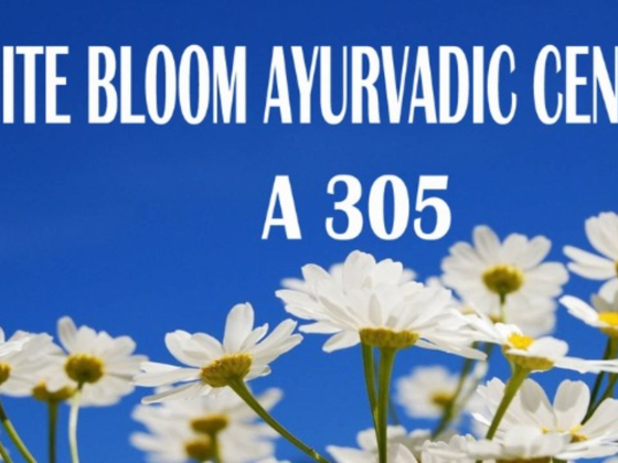 White Bloom Ayurvedic Center