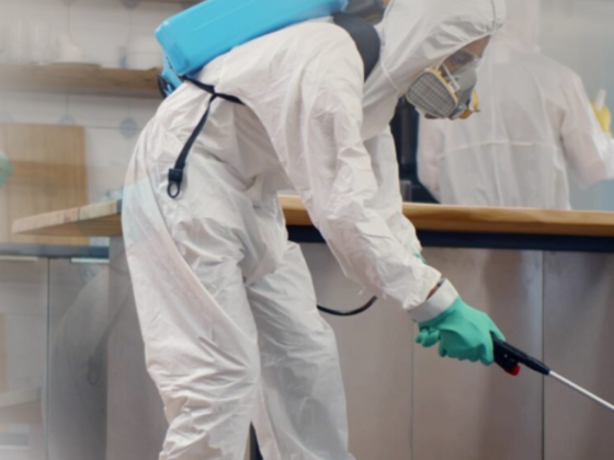 Marvel Pest Control Services