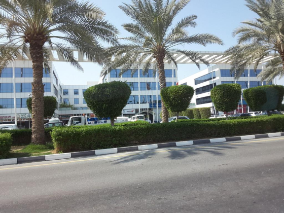 Jumo Middle East
