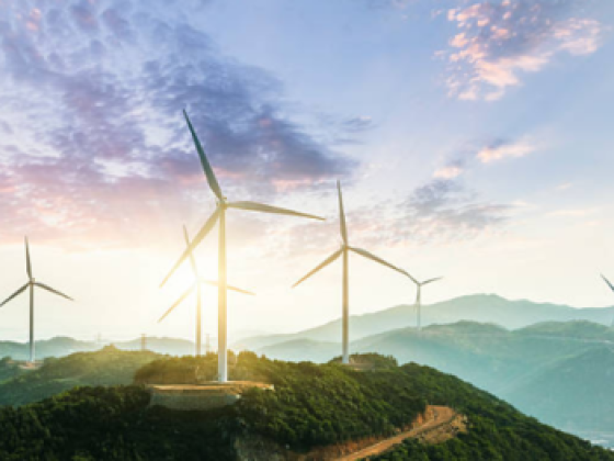 Dubai Electricity & Water Authority