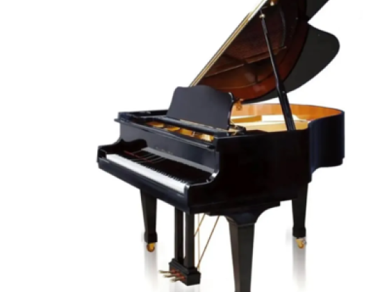 Barbad Musical Instruments