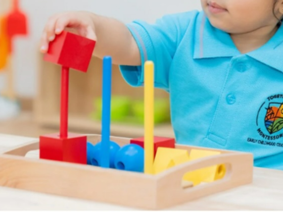 Together We Montessori